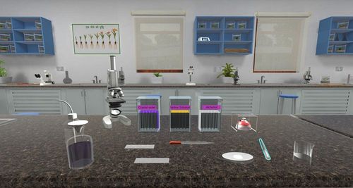 Teach Bacterial Staining with Engaging Virtual Reality Tools