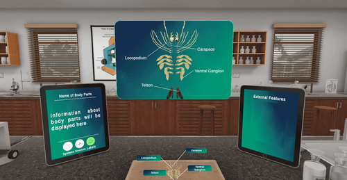 VR Prawn Dissection: Bringing Realism to University Biology Courses